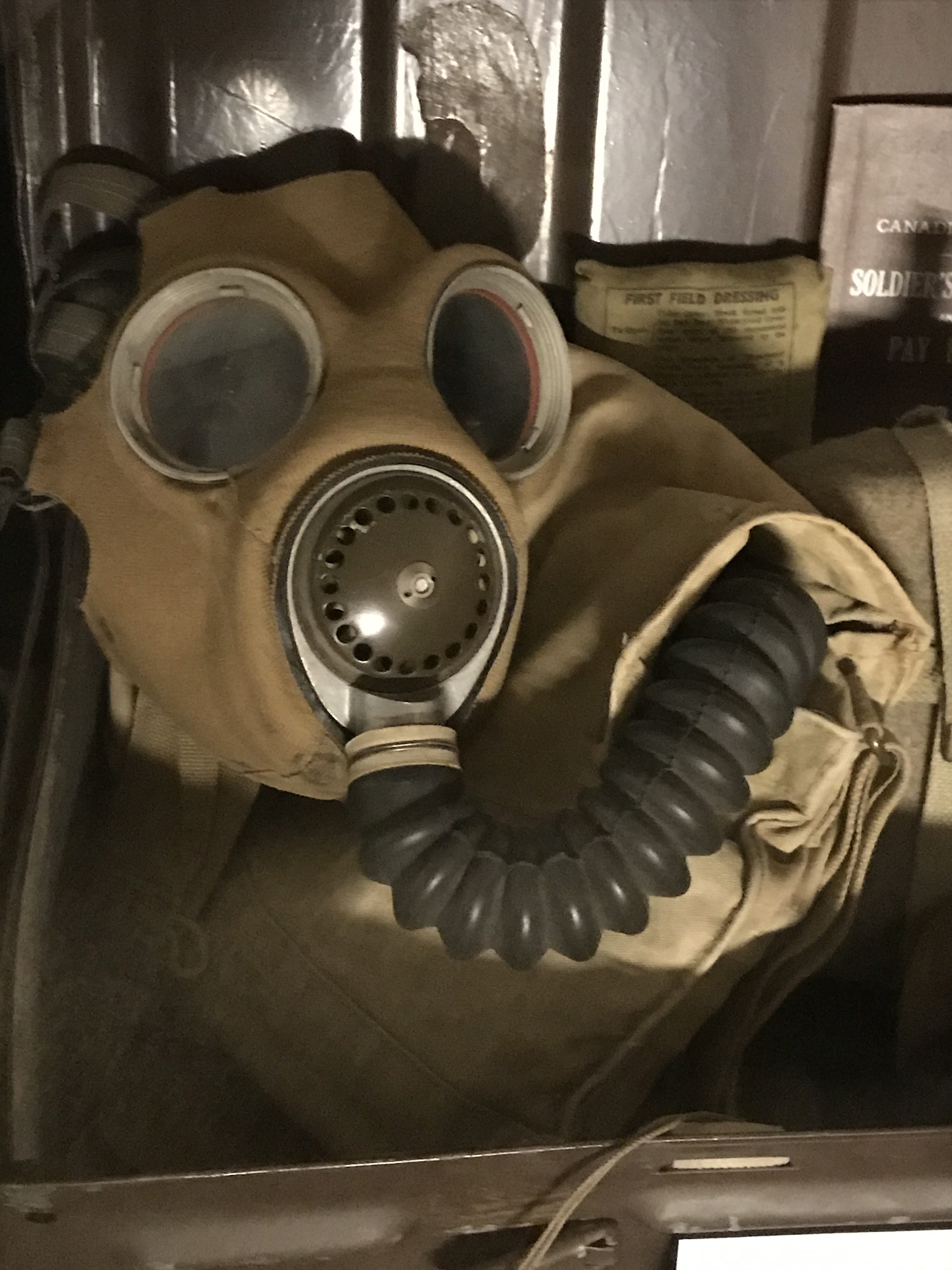 The Impact of Chemical Warfare in WWI